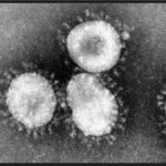 Corona Virus Microscopic View