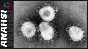 Corona Virus Microscopic View